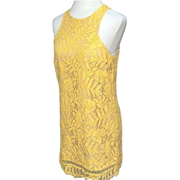 Lovers + Friends Caspian Lace Shift Dress - Picture 3 of 6